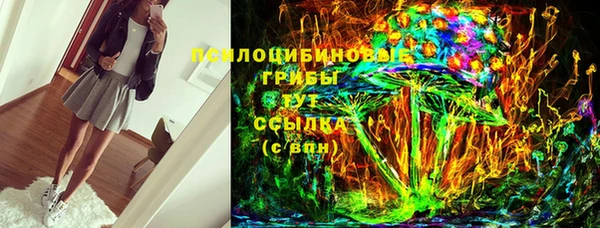 герыч Каменногорск